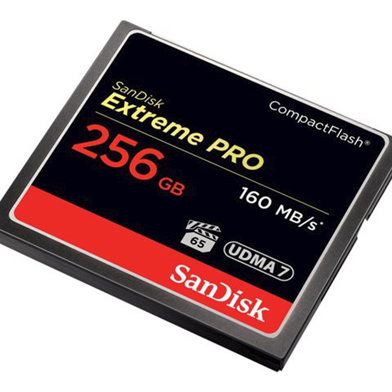 SanDisk Flash Speicherkarte 256  GB